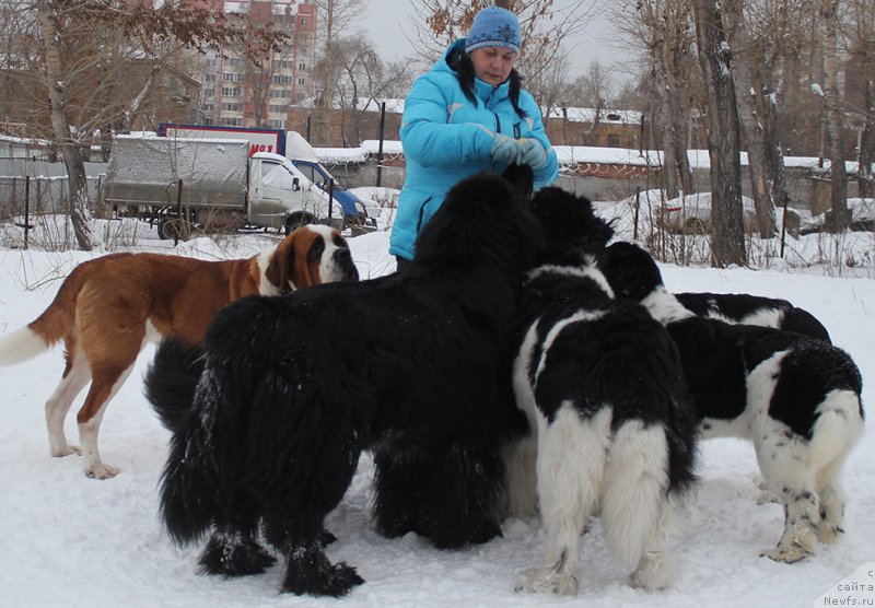 Фотография № 172047