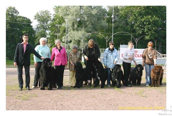 Фото: Galina Saryicheva (Галина Сарычева)