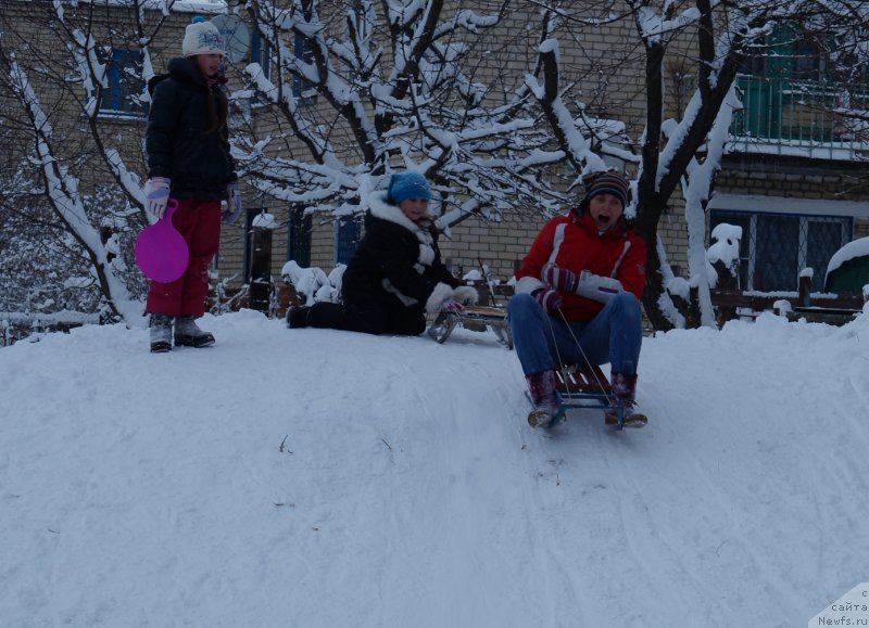 Фотография № 172099