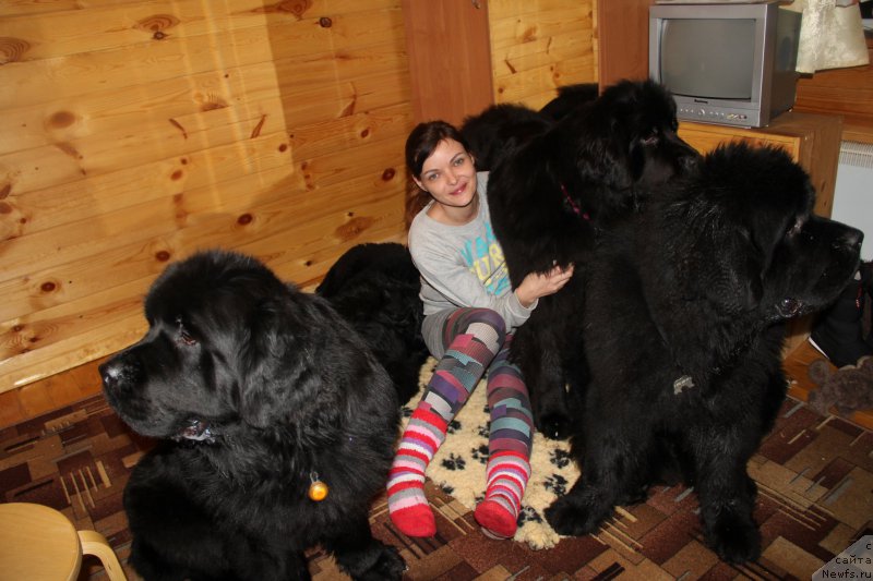 Фотография № 172106