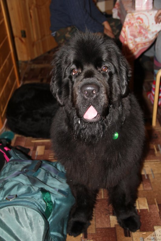 Фотография № 172107