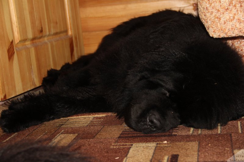 Фотография № 172109