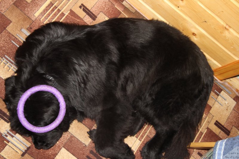 Фотография № 172111