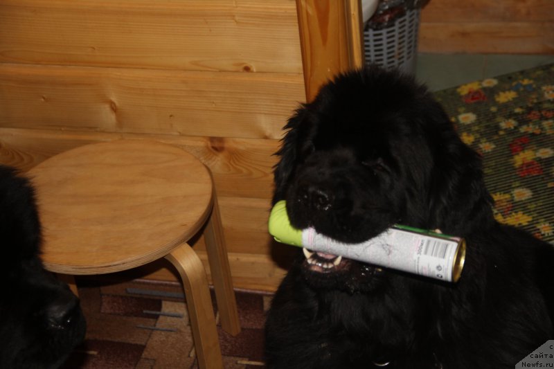 Фотография № 172112