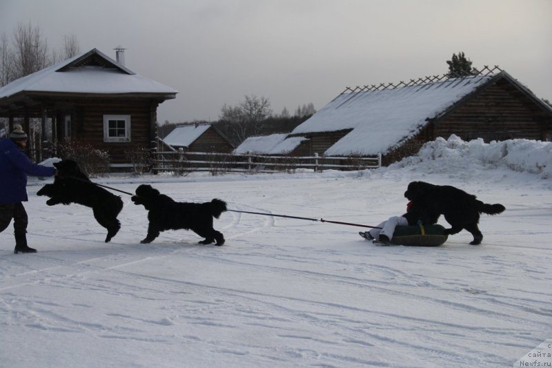 Фотография № 172113