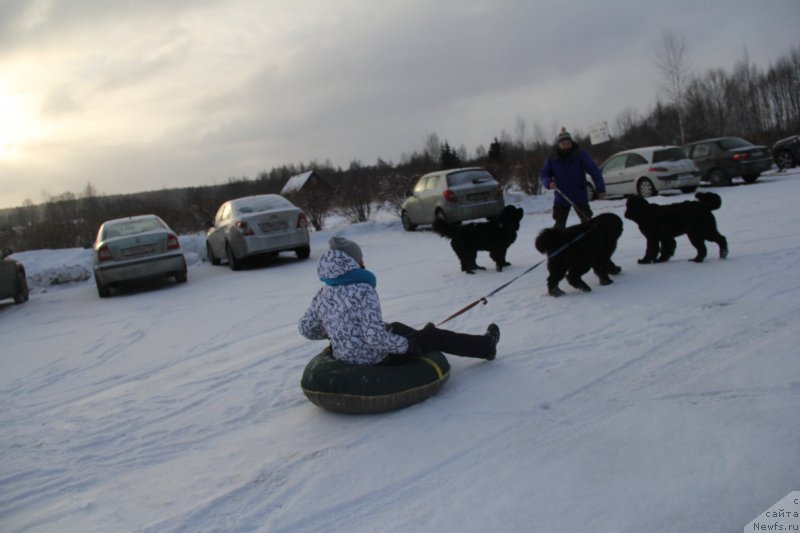 Фотография № 172114