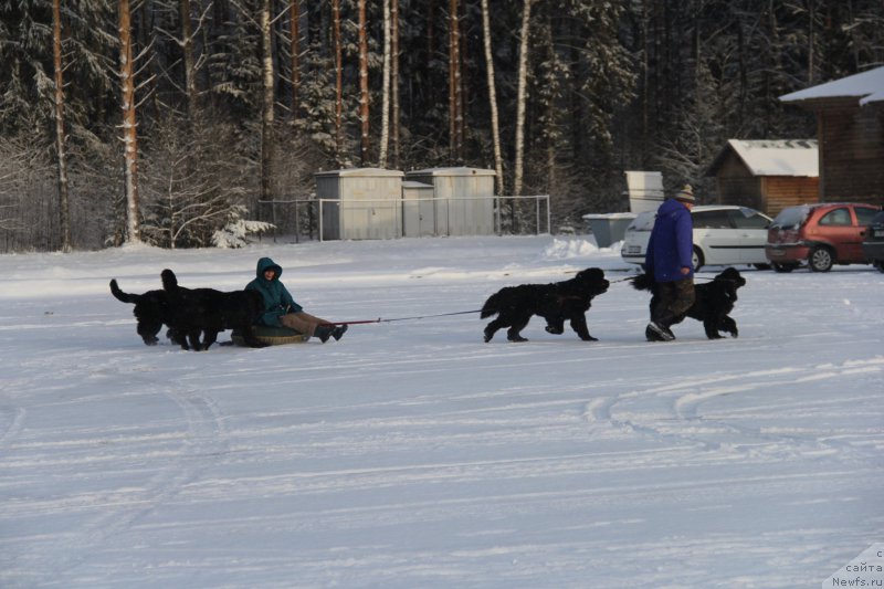 Фотография № 172116