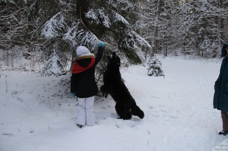 Фотография № 172118