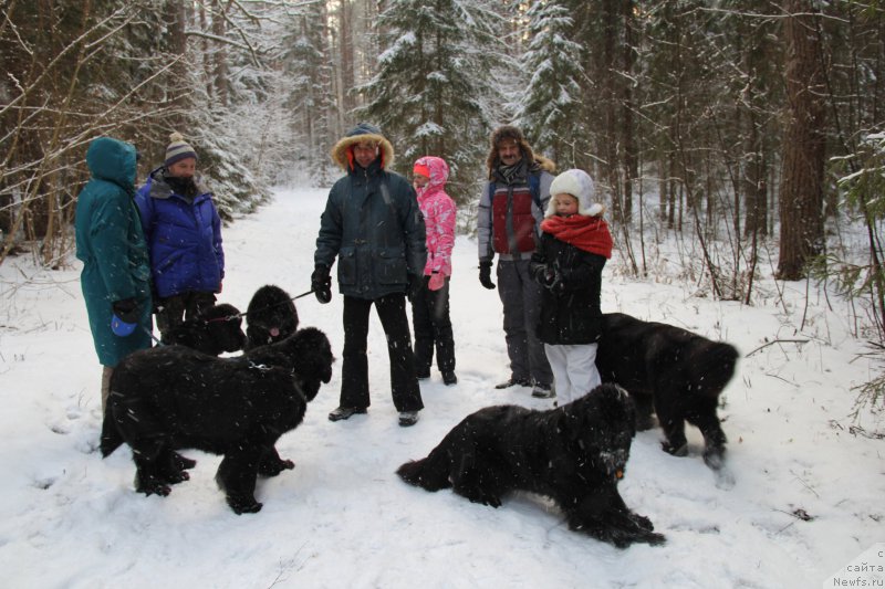 Фотография № 172120