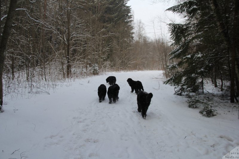 Фотография № 172121