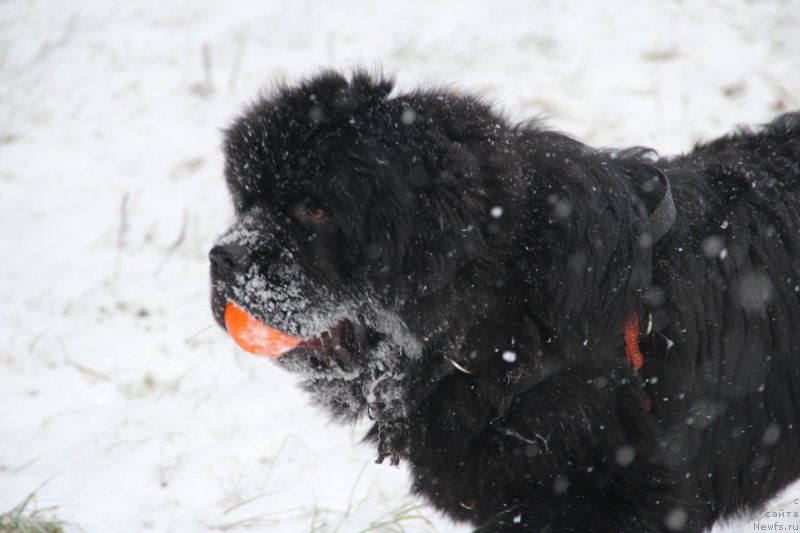 Фотография № 172125