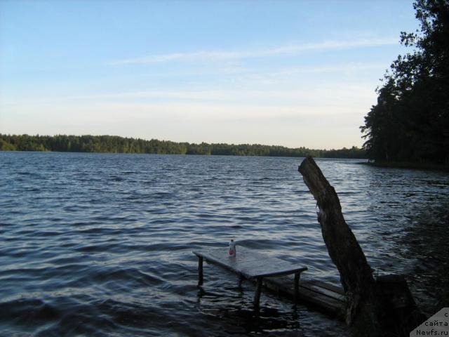 Фотография № 17213