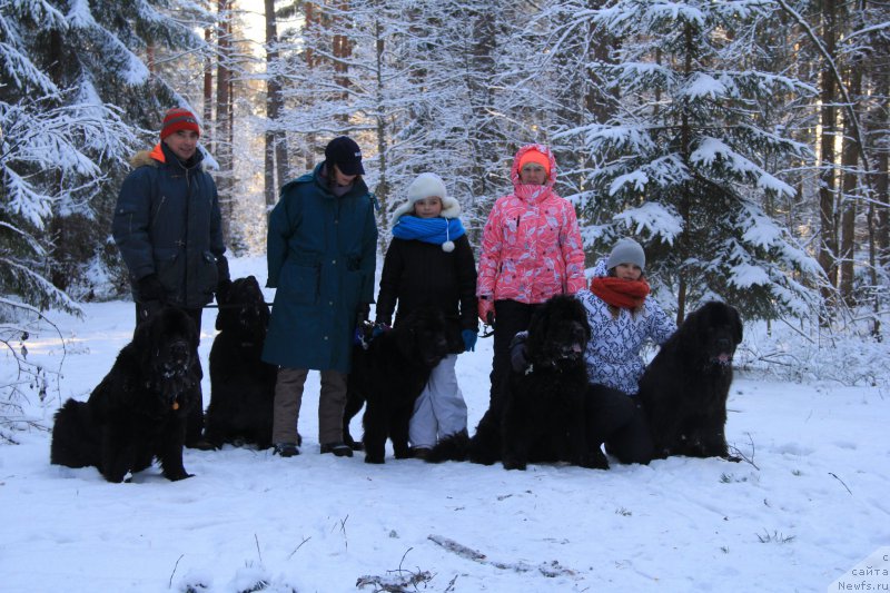 Фото: Ol'ga Koroleva (Ольга Королева), Galina Akulina (Галина Акулина), Anton YAkovlev (Антон Яковлев), Olesya Arhipova (Олеся Архипова), ньюфаундленд Beguschaya po Volnam Ring of Fire (Бегущая по Волнам Ринг оф Фире), ньюфаундленд Beguschaya po Volnam Elvis (Бегущая по Волнам Елвис), ньюфаундленд Beguschaya po Volnam Hand Made (Бегущая по Волнам Ханд Маде), ньюфаундленд Beguschaya po Volnam Harizma (Бегущая по Волнам Харизма)