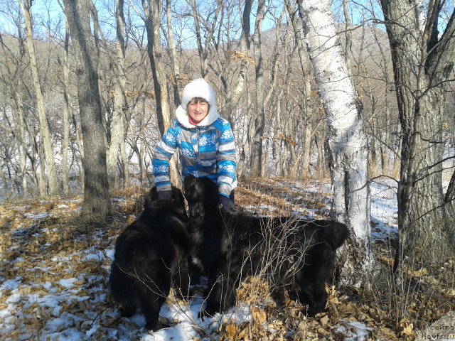 Фото: ньюфаундленд Super Premium Merlin Monro (Супер Премиум Мерлин Монро), ньюфаундленд Nessi Blyek s  Lesnoy Zaimki (Несси Блэк с  Лесной Заимки), мама