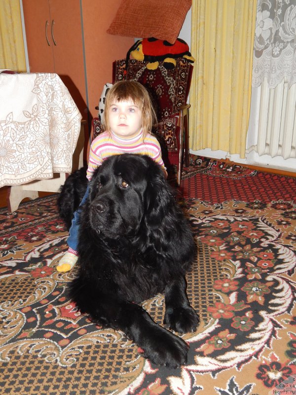 Фотография № 172237