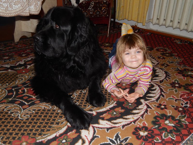 Фотография № 172238