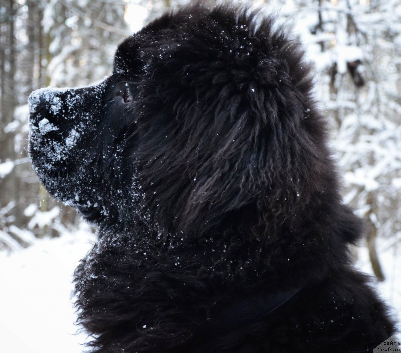 Фотография № 172261