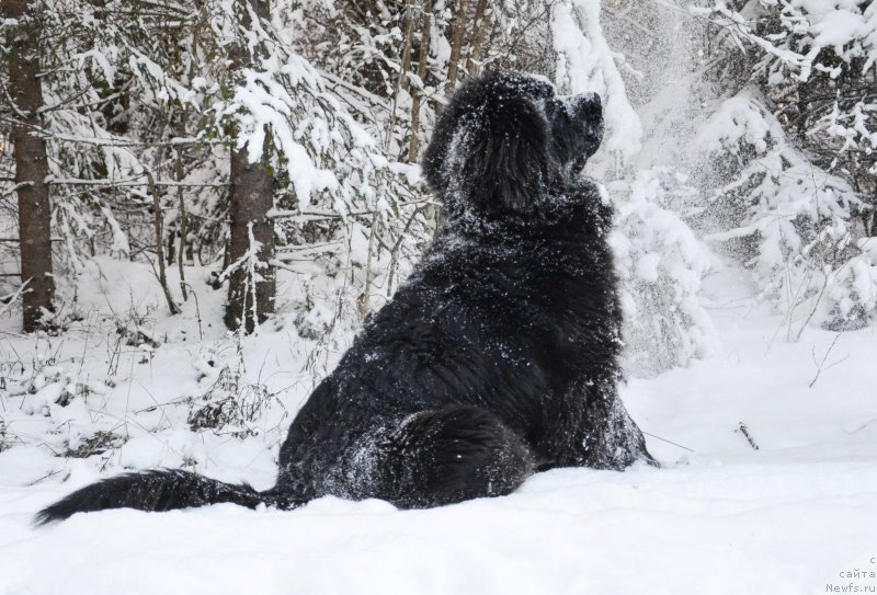 Фотография № 172263