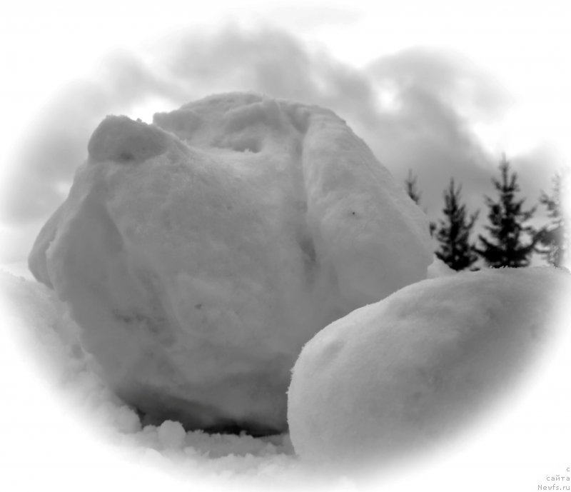 Фотография № 172264