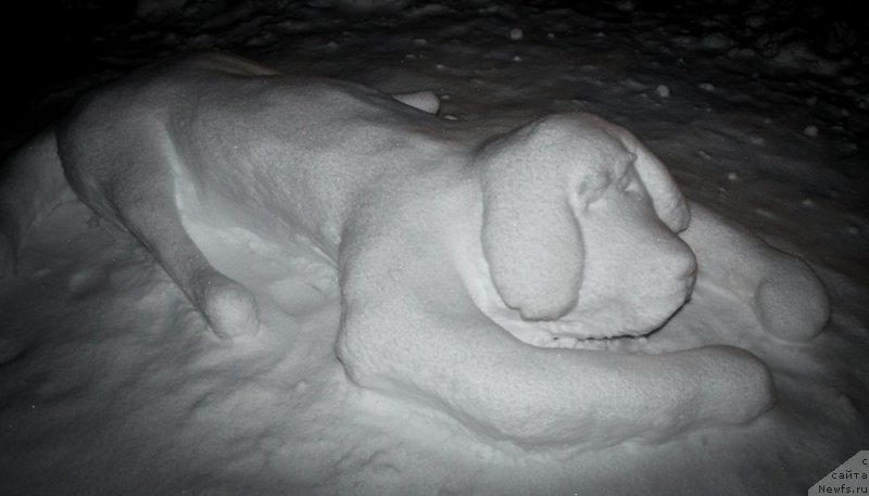 Фотография № 172266