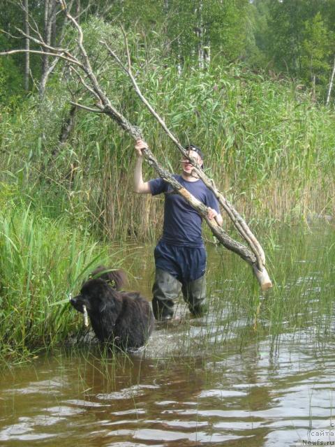 Фотография № 17228