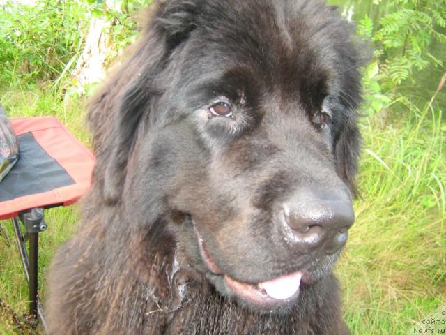 Фотография № 17229