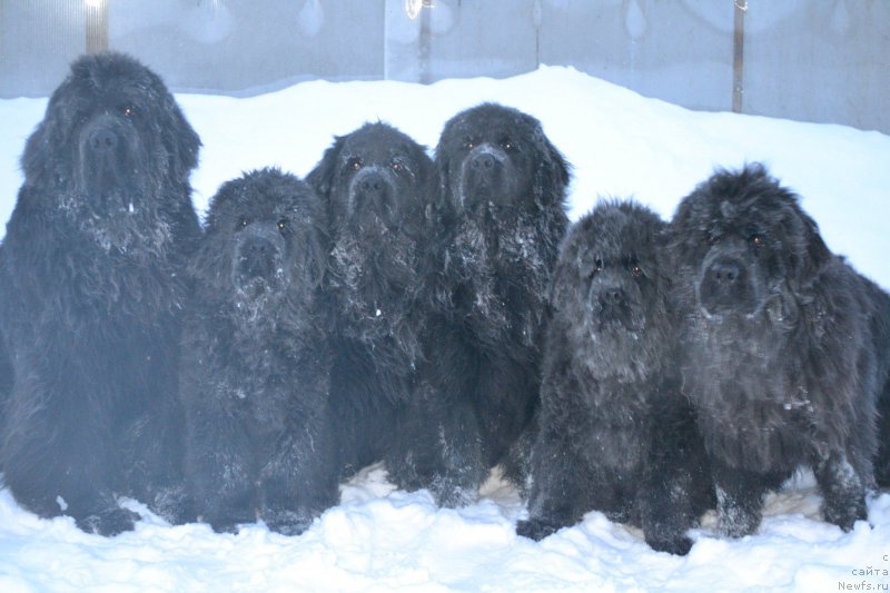 Фотография № 172330