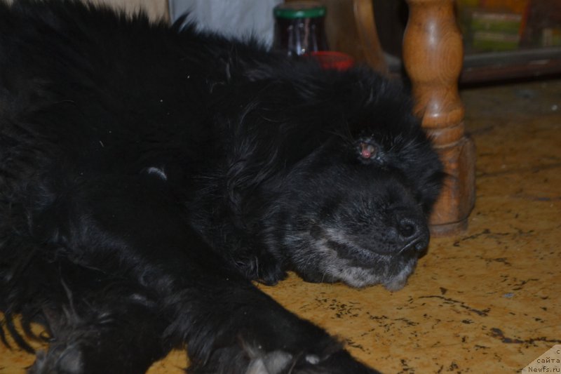 Фотография № 172333