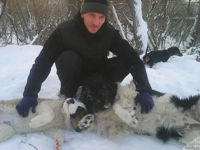 Фотография № 172366