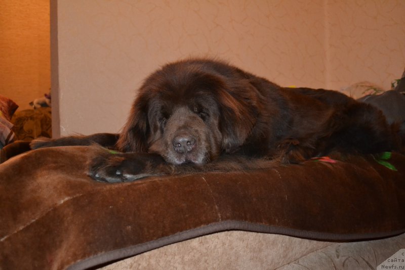 Фотография № 172385