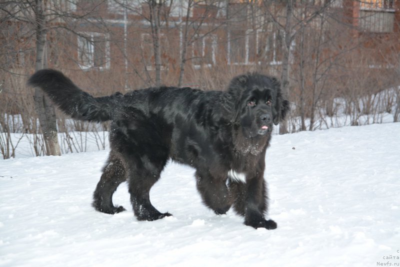 Фотография № 172396