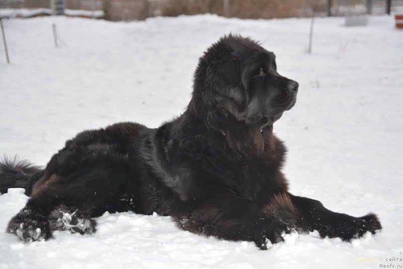 Фото: Tat'yana Tetyurikova (Татьяна Тетюрикова)