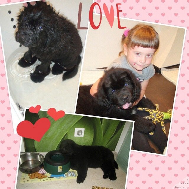 Фотография № 172407