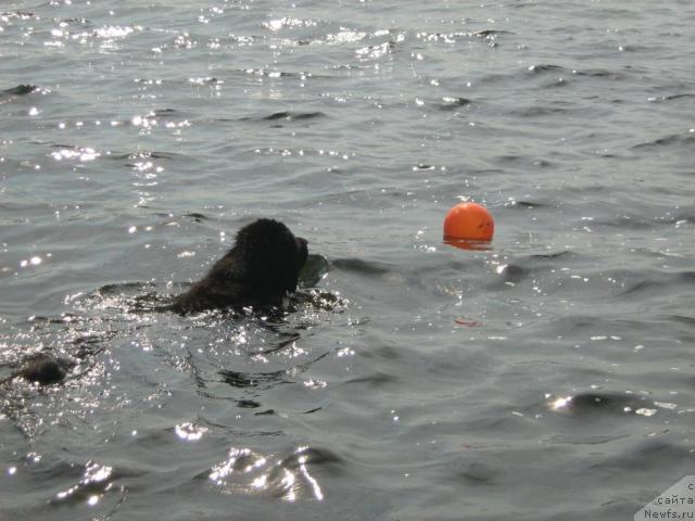 Фотография № 17241