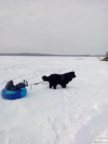 Фотография № 172411