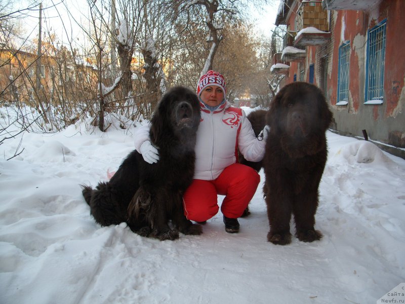 Фото: ньюфаундленд CHernyiy SHarm Amber Best Dog FO Marleon (Черный Шарм Амбер Бест Дог ФО Марлеон), ньюфаундленд Akvamarinovaya Krasotka dlya Marleon (Аквамариновая Красотка для Марлеон), Tat'yana SHayduk (Татьяна Шайдук)