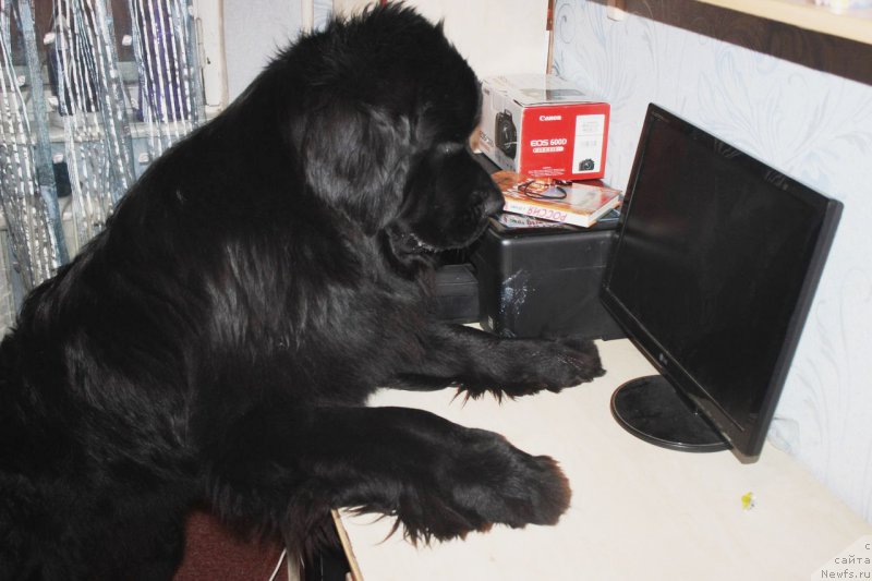 Фотография № 172436