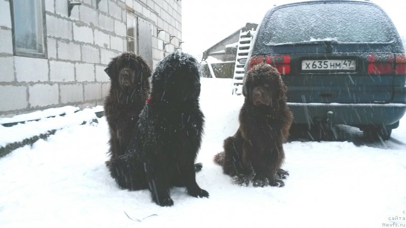 Фотография № 172438