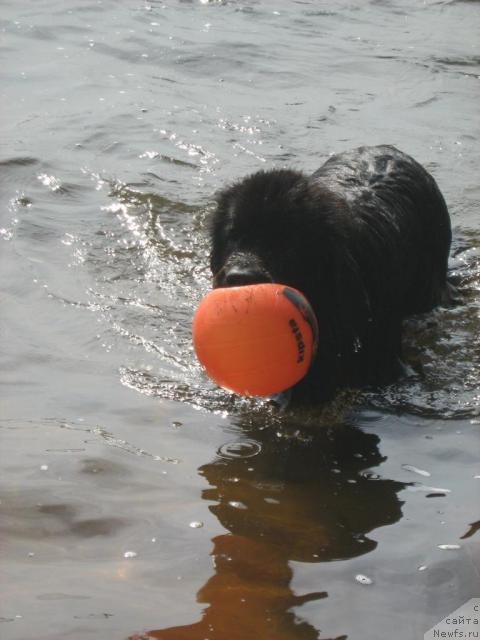 Фотография № 17244