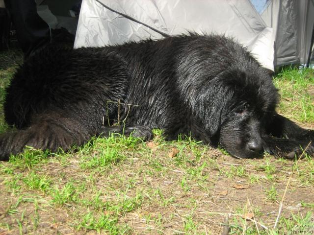 Фотография № 17246