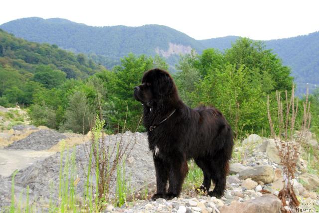 Фотография № 17247