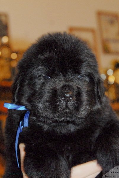 Фотография № 172507