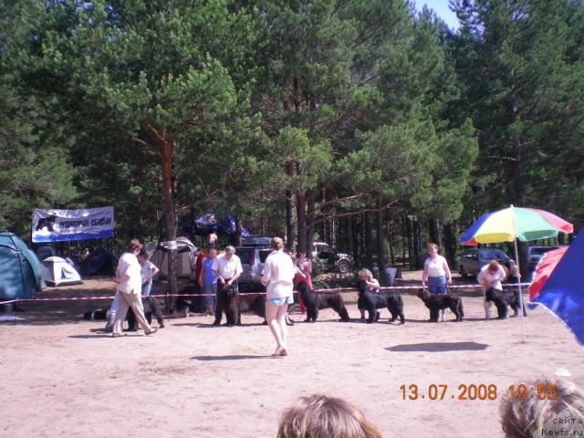 Фотография № 17252