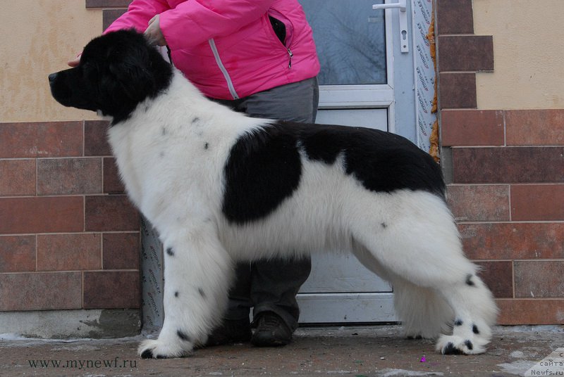 Фотография № 172526