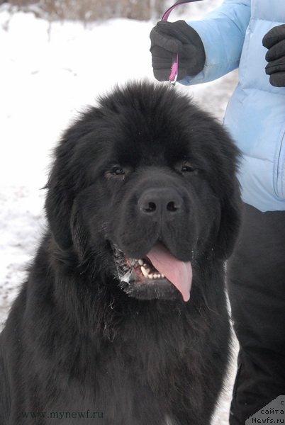 Фотография № 172527