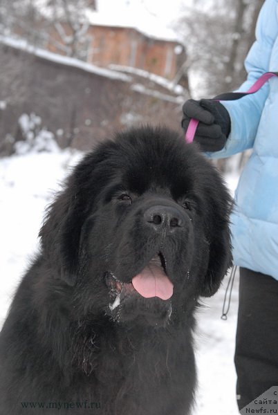 Фотография № 172528