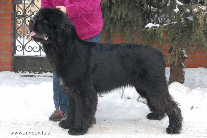 Фотография № 172529