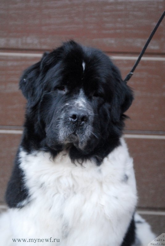 Фотография № 172554