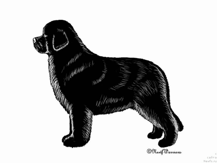 Фотография № 172559