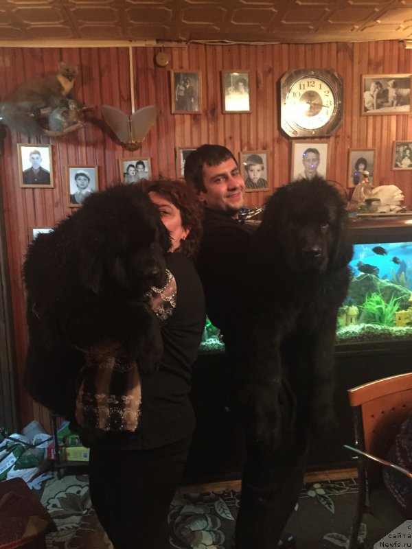 Фотография № 172571